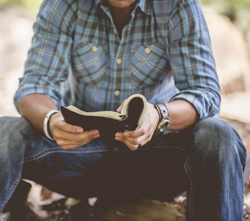 Counseling & Support Counseling & Support
